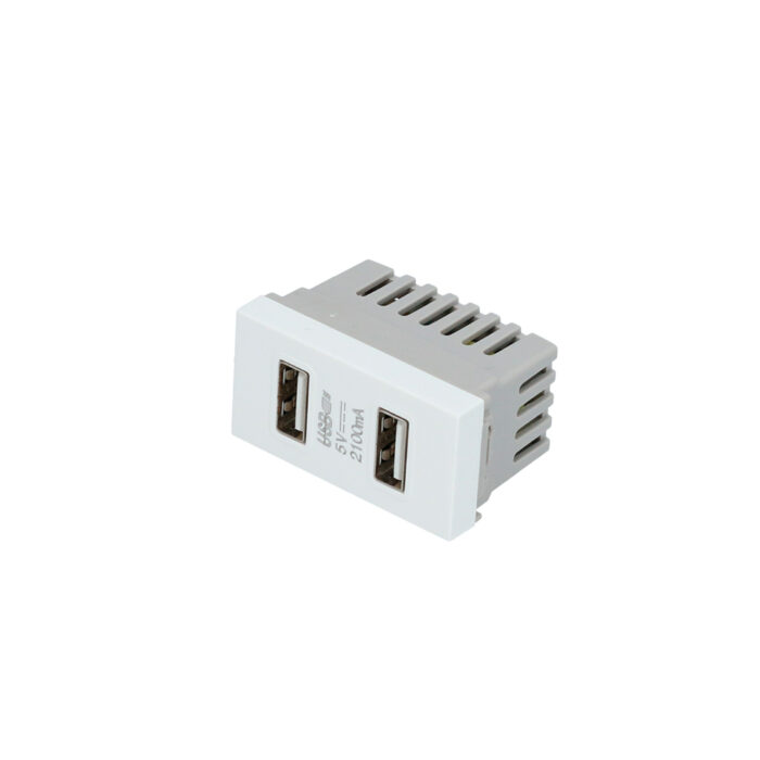 HC128551 - Módulo Usb Doble 1/3 Línea Premium Color Blanco Surtek P617B - SURTEK